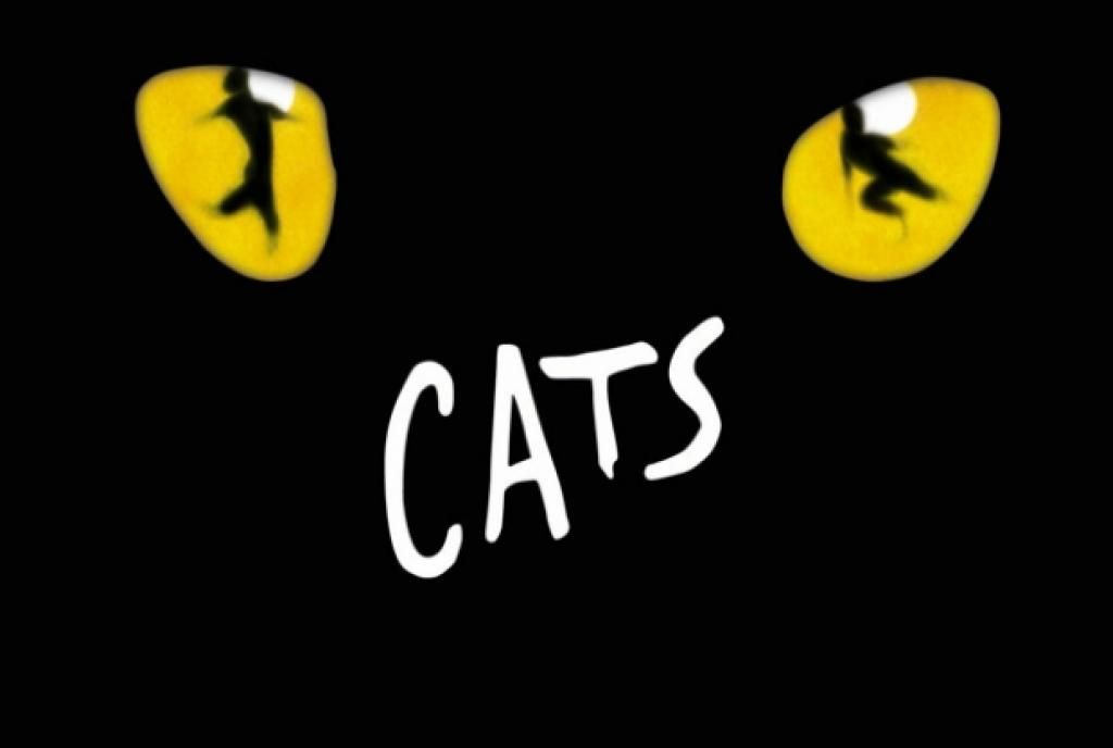 Cats au Théâtre Mogador