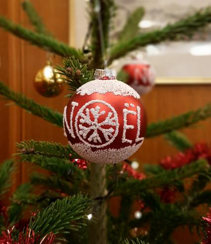 Ready for Christmas!