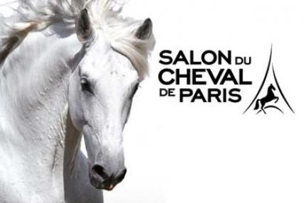 The Paris Horse Show
